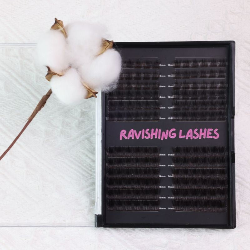 Ravishing Single Lashes (cc03) BROWN