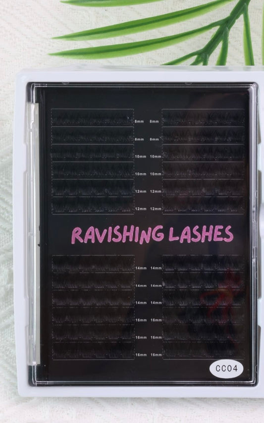Single Lash Tray (cc04)Black